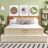 Cotton Sleep 11" Organic Cotton & Latex Hybrid