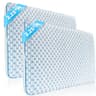 Iwacool Thin Gel Memory Foam Pillow (2.25", pair)