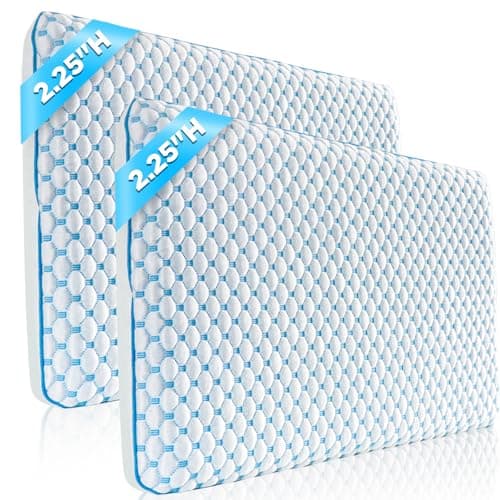 Iwacool Thin Gel Memory Foam Pillow (2.25", pair)